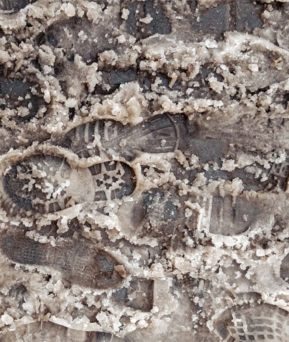 مدير المدرسة